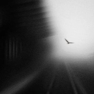 Cry For Me（热播版）