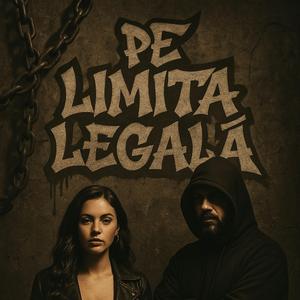 Pe limita legală