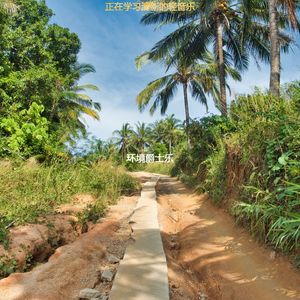 适合正在学习忧郁的音乐