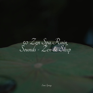 Forest, Animals, Cicadas