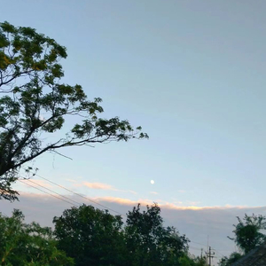 失忆一万遍 爱你一万零一遍