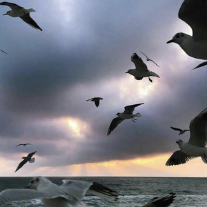 接下来的故事慢慢仔细听我说