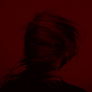 夜の光 [Night Light]