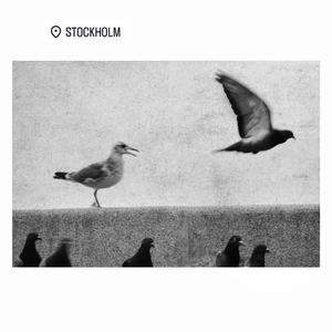 哪儿那么多事儿