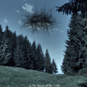 Wanderer Through The Melancholy Of The Woods (Part 2)