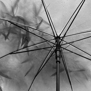 崂山道士 (原版伴奏)