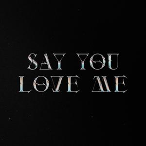 Say You Love Me