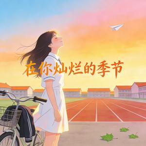 在你灿烂的季节