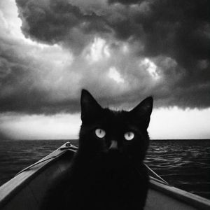 i took a pill in ibiza (slowed)