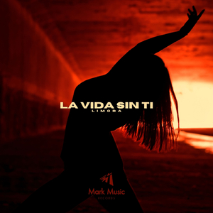 La Vida Sin Ti