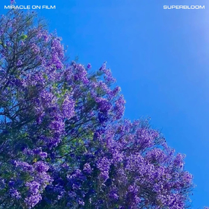 Mantis (In My Heart Is Love)