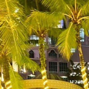 骗人的计和深情的戏（纯音乐）