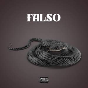 Falso