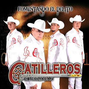 Fomentando El Delito