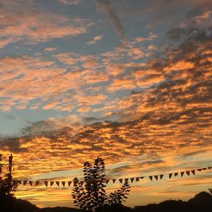 没有人不比我快乐