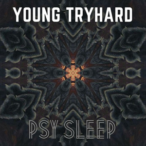 Psy Sleep