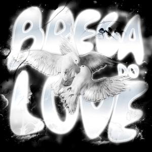 BREGA DO LOVE
