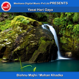 Yasai Hari Gaya