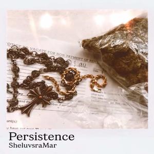 PERSISTENCE