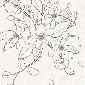 四点的海棠花未眠(欧版)