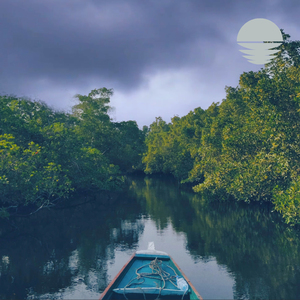 Sahel (Loopable Rain)