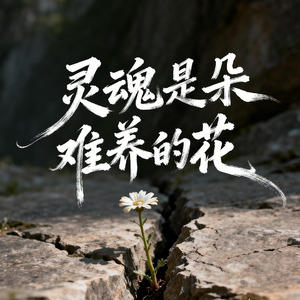 灵魂是朵难养的花