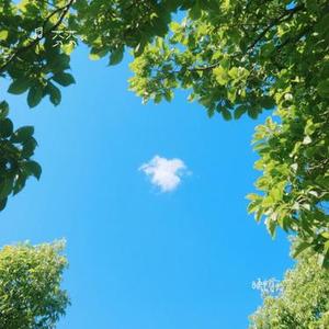 晴朗天空 (Cover 郑润泽)