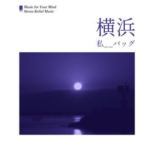 海岸線 (Shoreline)