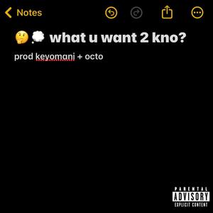 what u want 2 kno (kno)