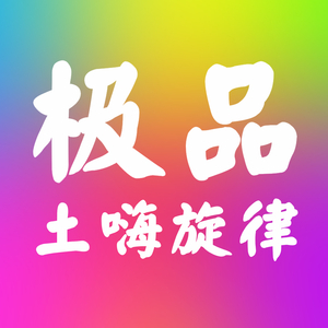 极品土嗨旋律