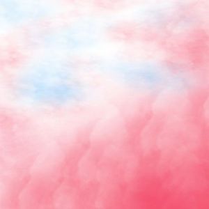 환상동화 (Secret Story of the Swan)