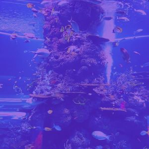 微妙的蒸气浴心情