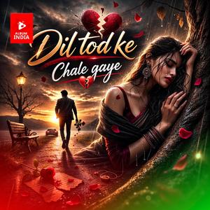 Dil tod ke chale gaye