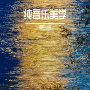 月光独白（纯钢琴）