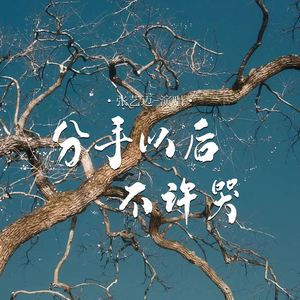 分手以后不许哭