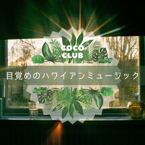 Bamboo Sunrise