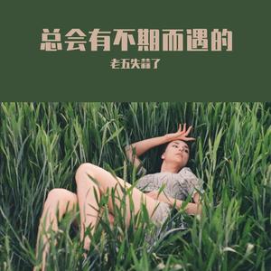 那种奔向日落的感觉