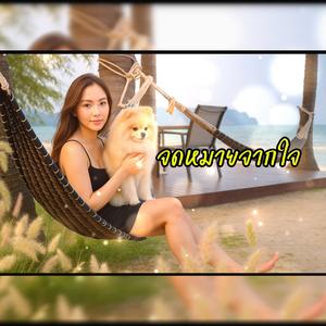 จดหมายจากใจ