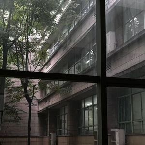 读后感