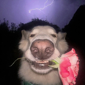 BLOOD FEAST (prod. by hyyddraa)