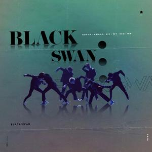 Black Swan【黑天鹅】（翻自 啵塔石）