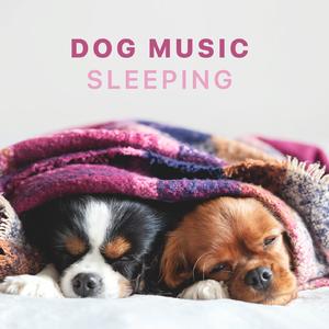 Music for Dogs