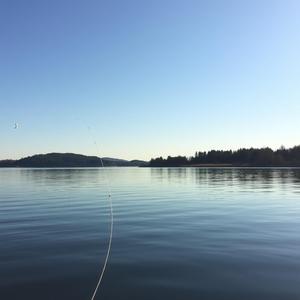 If Heaven's Got A Lake