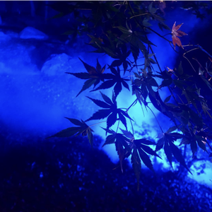 Duzzy-不断Part2（xuaam4 remix）