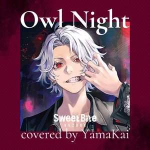 Owl Night