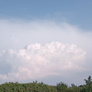 逆风飞翔
