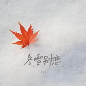 冬雪别恋