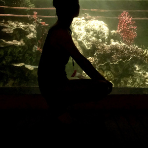 文一西路的夏天