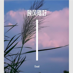 晚风刚好