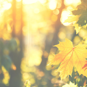 I'll Be There For You/You're All I Need To Get By (Puff Daddy Mix)